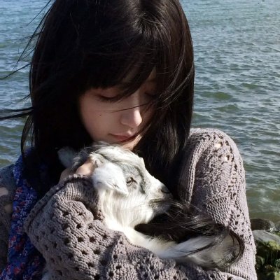 爱麻夫人热映中